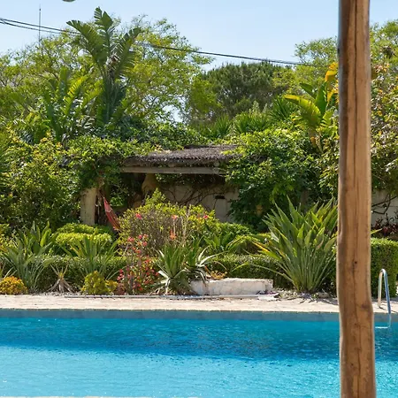 别墅 Exotic Beachfront Retreat Handcrafted Bohemian Luxury *