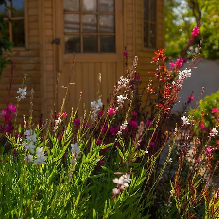 Villa Exotic Beachfront Retreat Handcrafted Bohemian Luxury