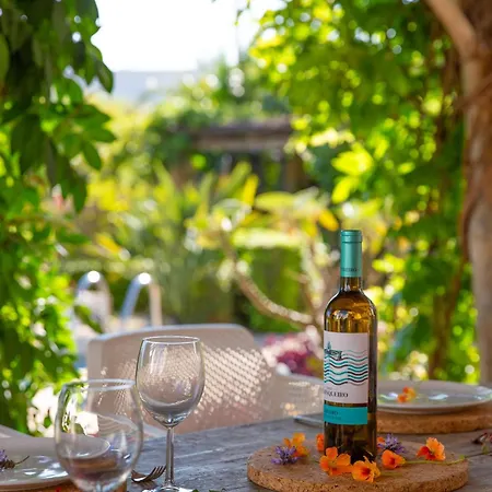 Exotic Beachfront Retreat Handcrafted Bohemian Luxury Cádis