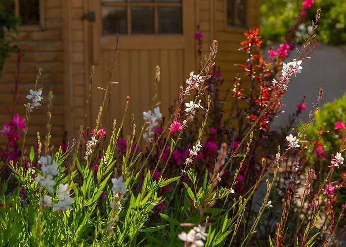 Willa Exotic Beachfront Retreat Handcrafted Bohemian Luxury